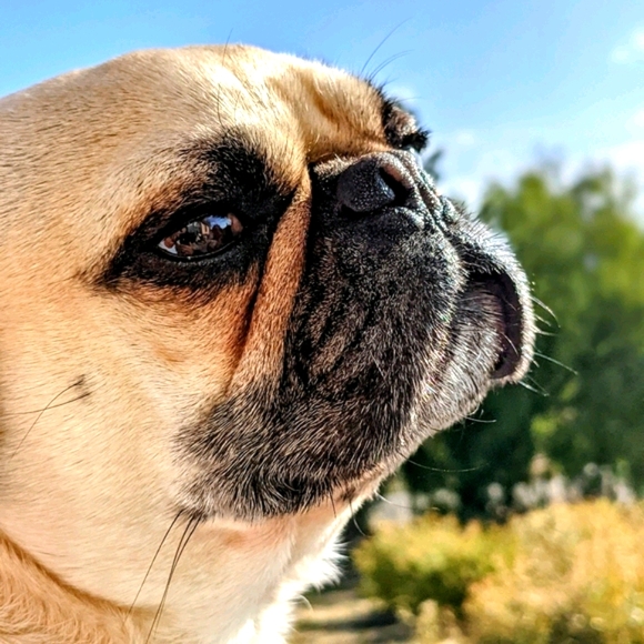 Hello World - Picture 2 of 2